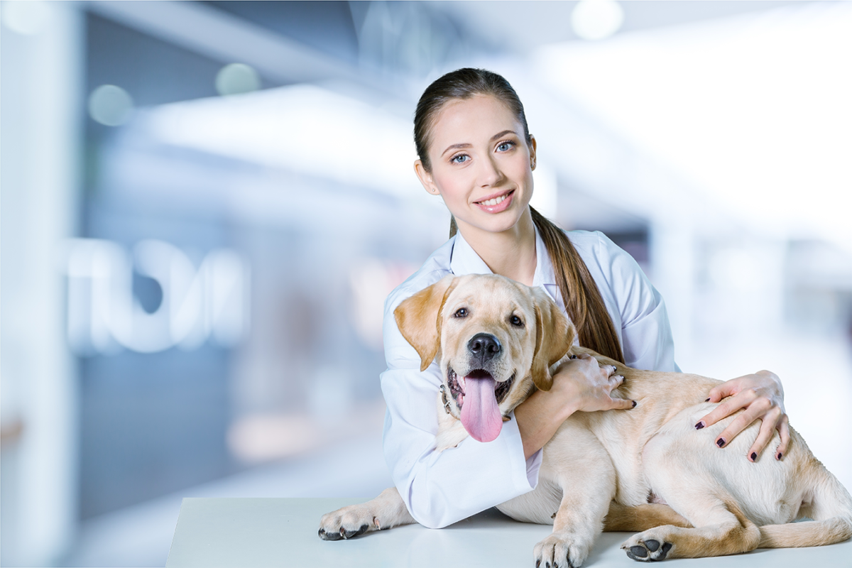 Állatorvosi asszisztens egy kutyával