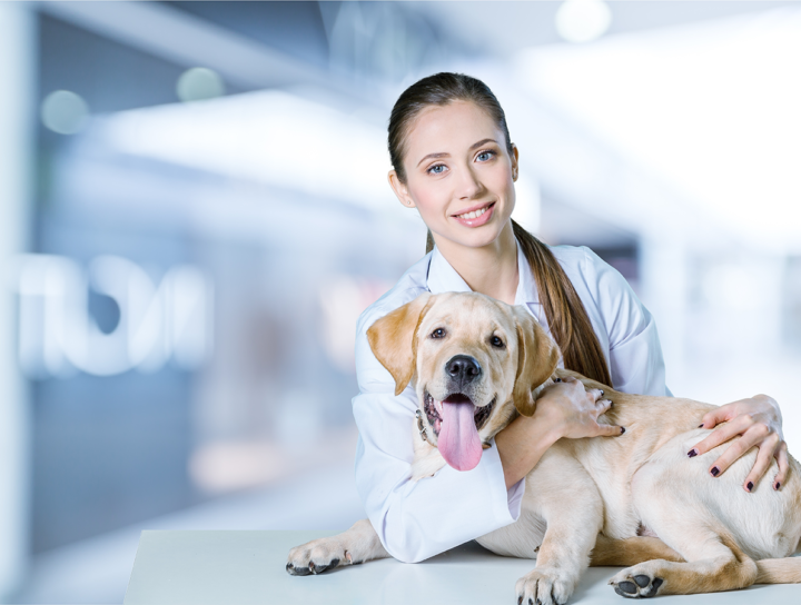 Állatorvosi asszisztens egy kutyával