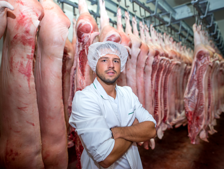 Húsipari technikus a húsok között