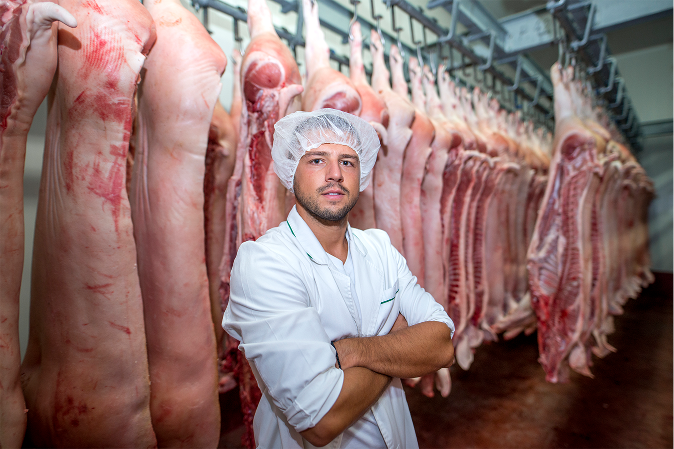 Húsipari technikus a húsok között