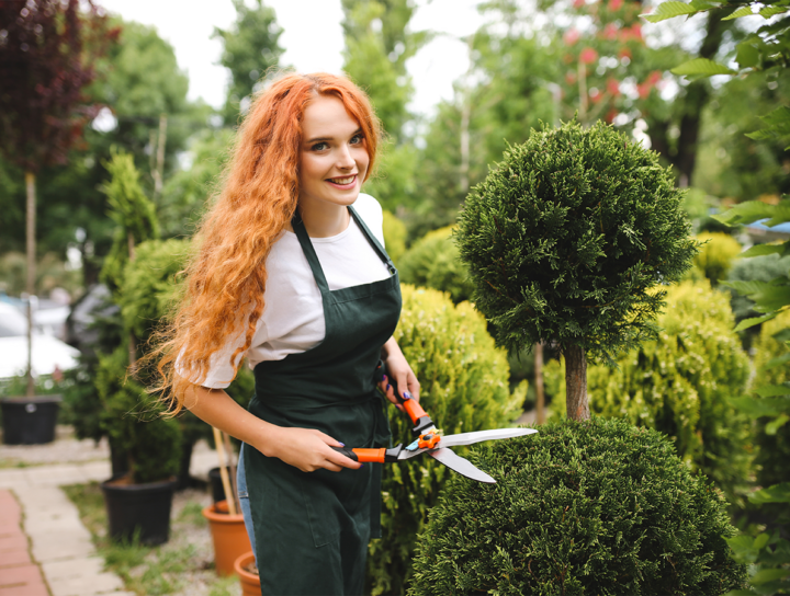 Kertésztechnikus lány sövényvágó ollóval a kezében