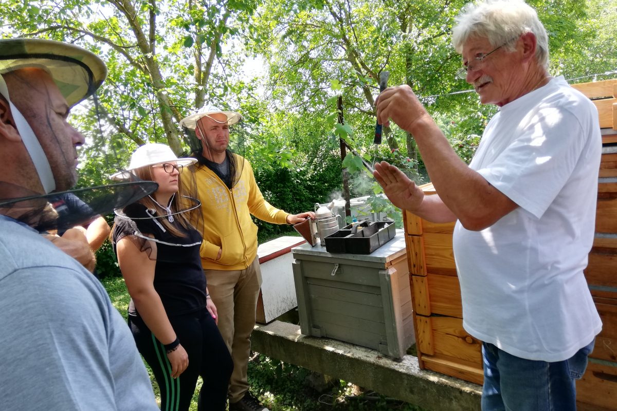 Egy idős férfi méhészkedést mutat be egy kis csoportnak védőkalapban a méhkasok melletti buja kertben.