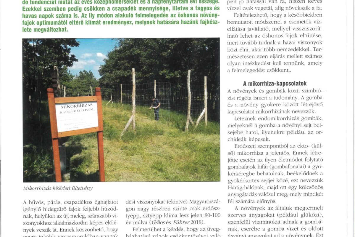 A képen egy tudományos magazin oldala látható, melyben szerepel a "mikorrhizás alkalmazásának természeti és gazdasági lehetőségei" című cikk, magyar nyelvű szöveggel, erdő fotójával és információs táblával.