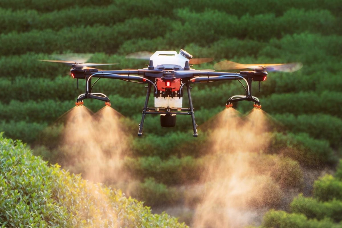 Mezőgazdasági drón, amely buja zöld növények felett repül, műtrágyát vagy növényvédő szert permetez. a kora reggeli fény kiemeli a permet ködét és a mező texturált sorait.