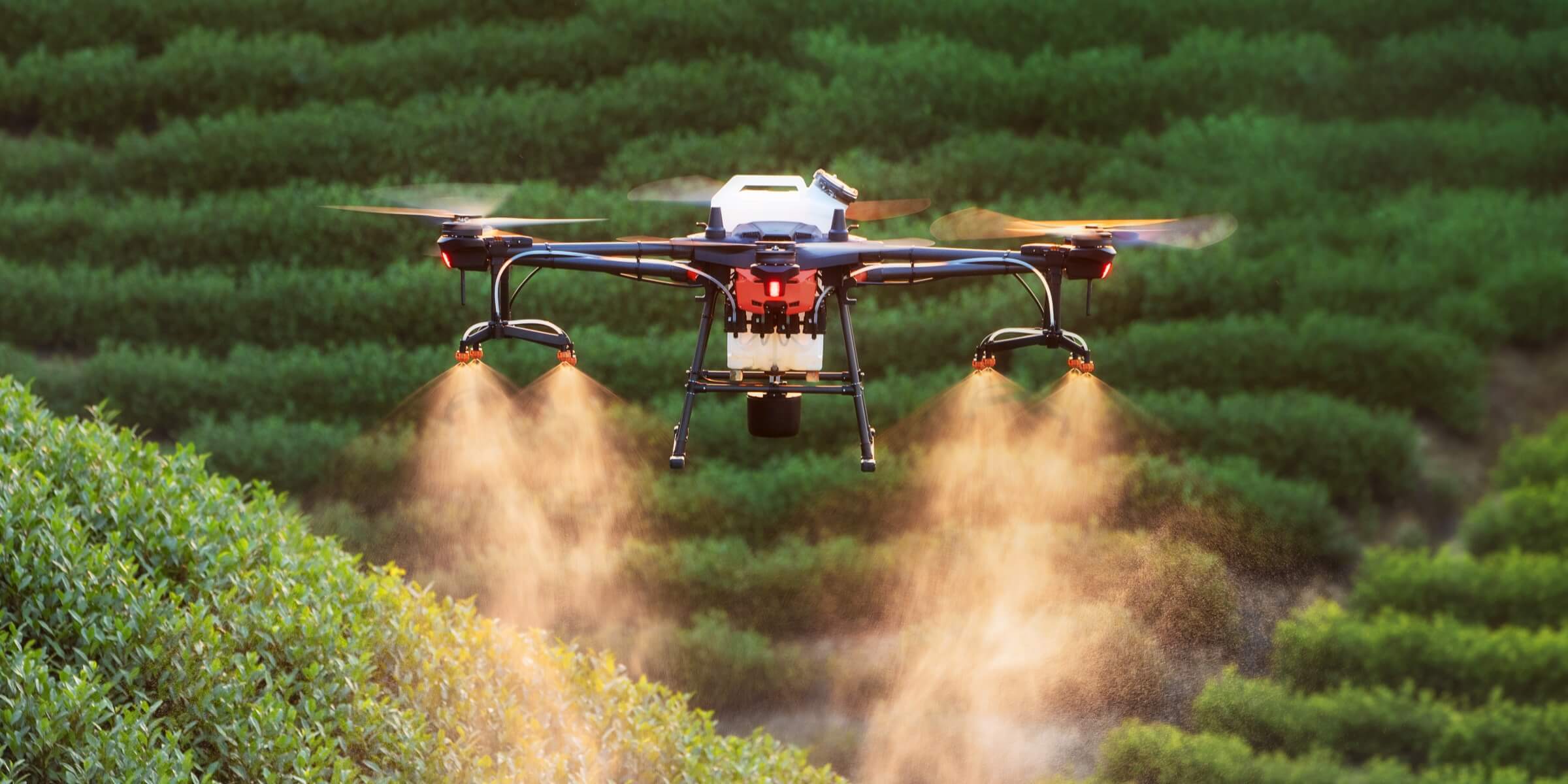 Mezőgazdasági drón, amely buja zöld növények felett repül, műtrágyát vagy növényvédő szert permetez. a kora reggeli fény kiemeli a permet ködét és a mező texturált sorait.