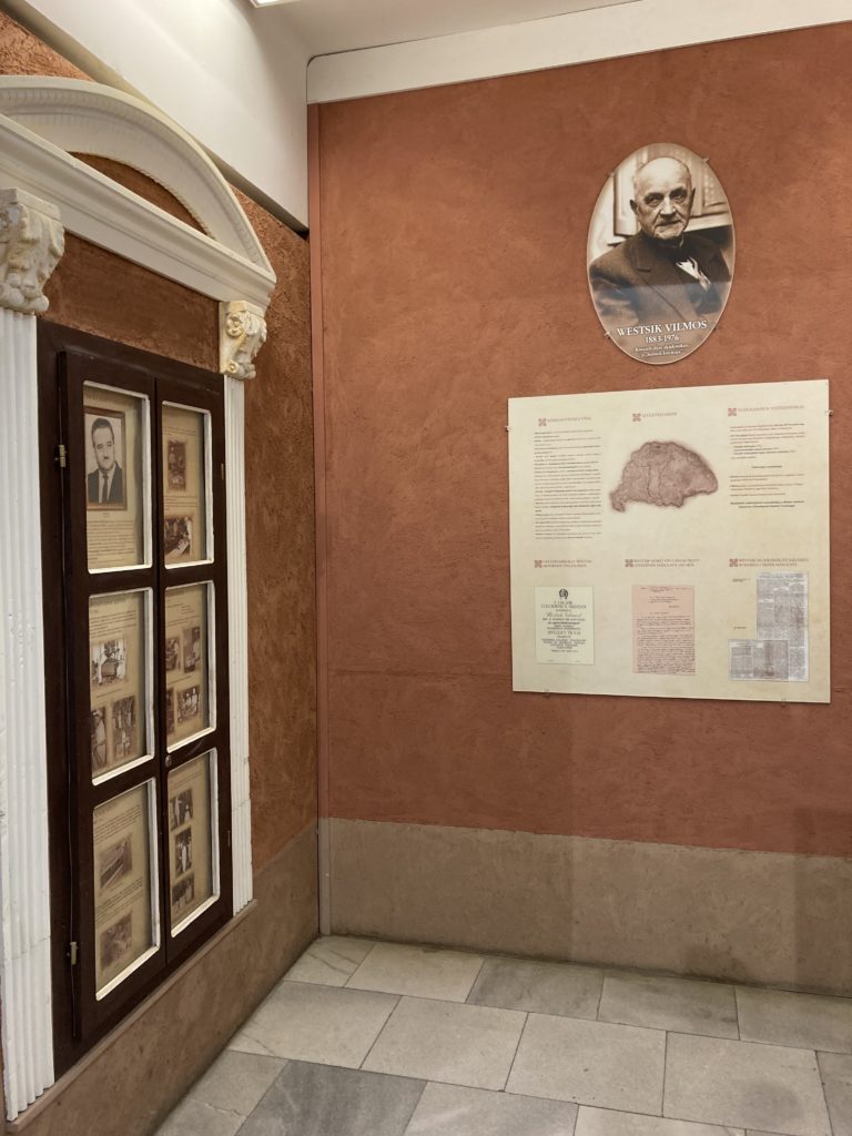 Múzeumsarok fényképekkel, keretes dokumentumokkal, valamint władysław starewicznak szentelt tájékoztató táblával a portréja alatt.