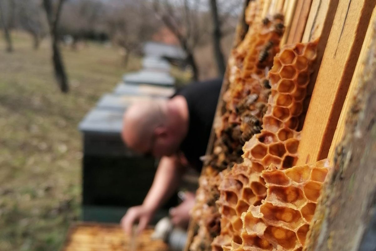 Közeli kép a méhsejt keretekről az előtérben, elmosódott háttérrel egy gyümölcsösben, méhkaptárokon dolgozó méhészről.