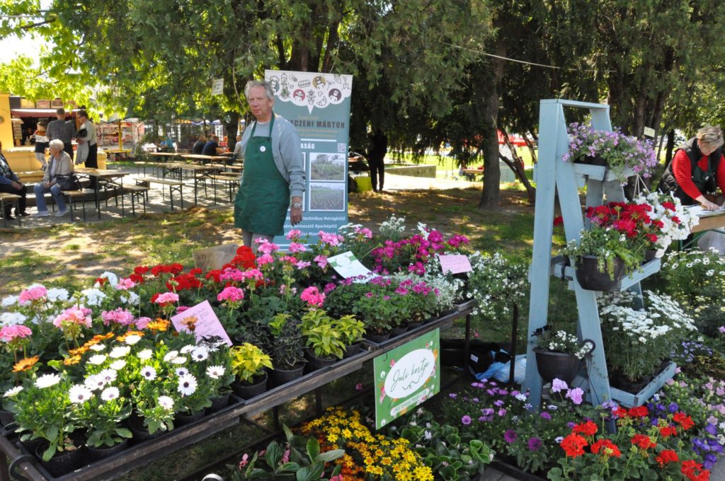 Kertészfülke egy szabadtéri piacon egy zöld kötényes férfival, aki élénk, színes virágokkal, köztük rózsaszínekkel és fehérekkel áll. poszterek és egy kertészeti berendezés látható a háttérben.