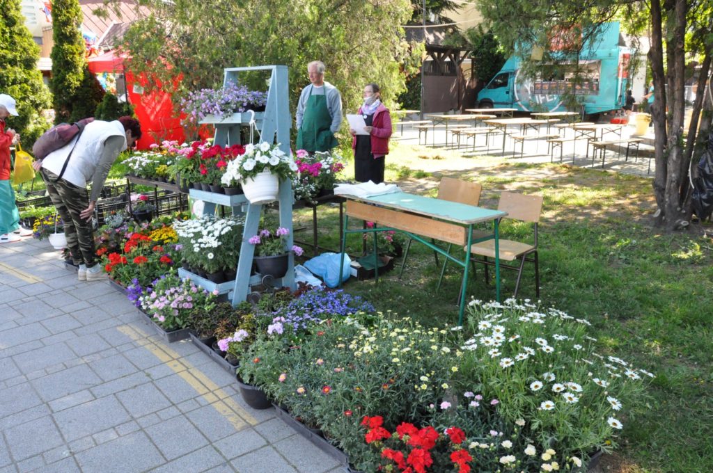 Szabadtéri virágpiac különféle színes növényekkel az állványokon és asztalokon. az emberek böngészik és ápolják a virágokat egy napsütéses napon.