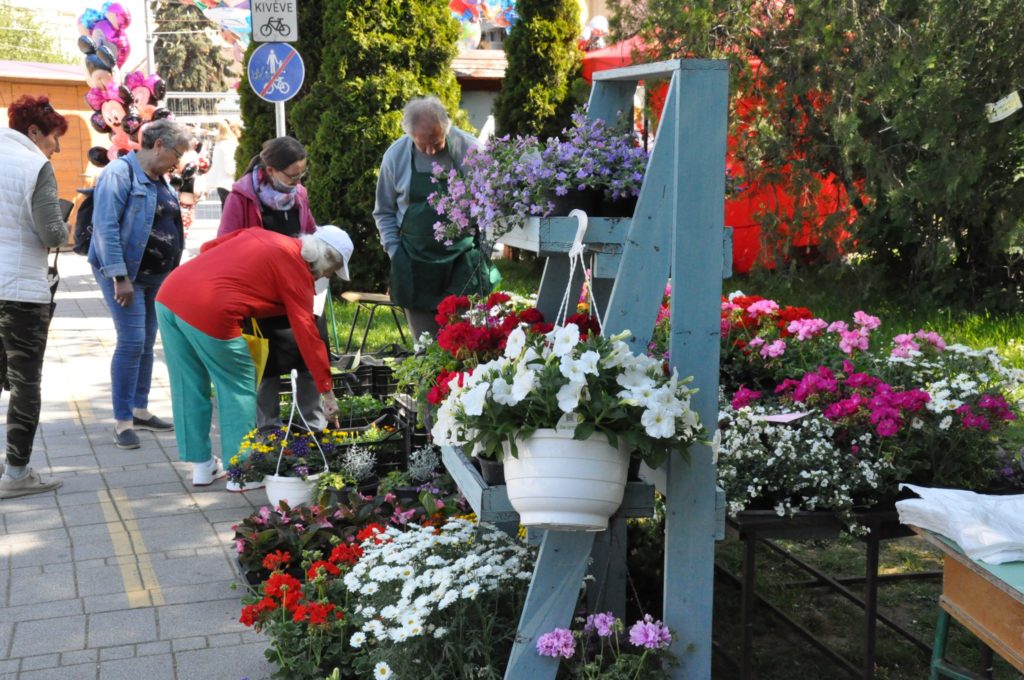 Virágpiacon vásárló emberek, egyedi létraszerű szerkezeten és függő cserepekben különféle színes virágokat rendezve, zöld lombozattal a háttérben.