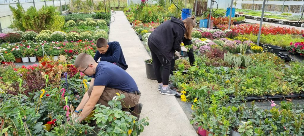 Három ember kertészkedik egy üvegházban, tele élénk virágokkal és növényekkel. Feladataikra koncentrálnak, a zöldekre törekednek. Polcok és utak láthatók, körülöttük különféle színes növények.