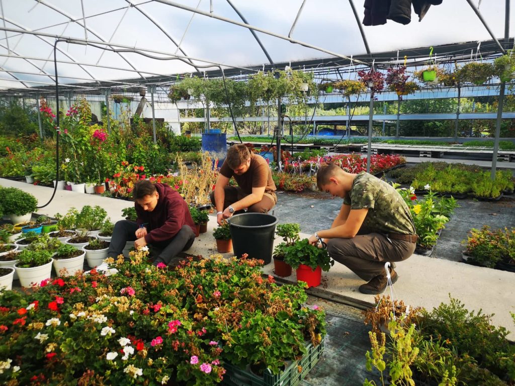 Három ember növényekkel dolgozik egy üvegházban. Letérdelnek, és különféle cserepes növényekre és virágokra törekednek, beleértve az élénk vörös és rózsaszín virágokat. Az üvegház tele van zölddel és színes virágokkal, egy védőszerkezet alatt.