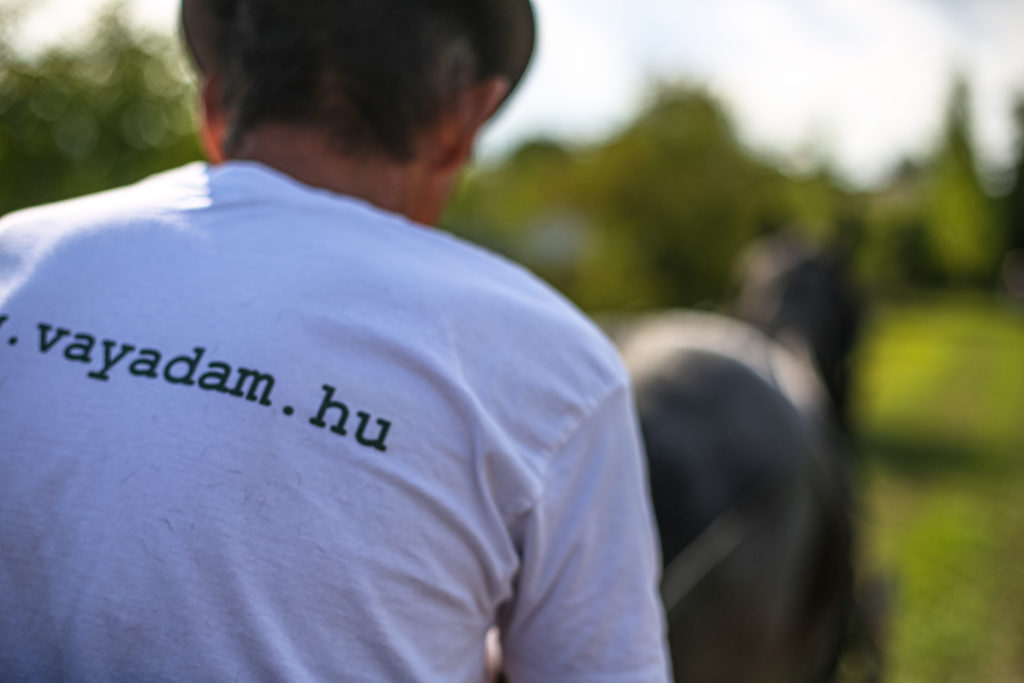 Egy fehér pólót viselő férfi látható hátulról, melynek hátára "vayadam.hu" van nyomtatva, elmosódott háttérrel, lóval és zölddel.