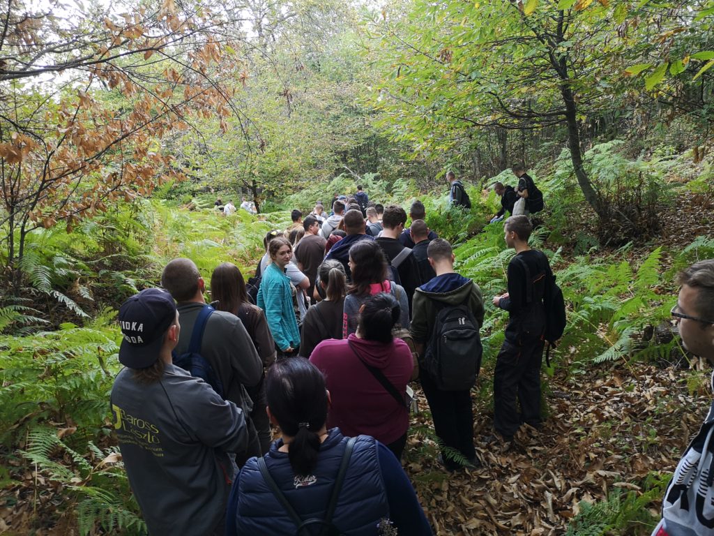 Egy nagy csoport ember egy keskeny ösvényen sétál egy sűrű erdőn keresztül. Az egyedek kültéri öltözékben vannak, és sorban terülnek el, zöld páfrányokkal és kora őszi színű lombozatú fákkal körülvéve. Vannak, akik visszanéznek a kamera felé.