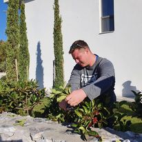 Egy szürke inges férfi a kertet gondozza, és növényeket nyír egy fehér épület közelében, magas, karcsú fákkal a háttérben. A jelenet napos, tiszta árnyékokat vet.