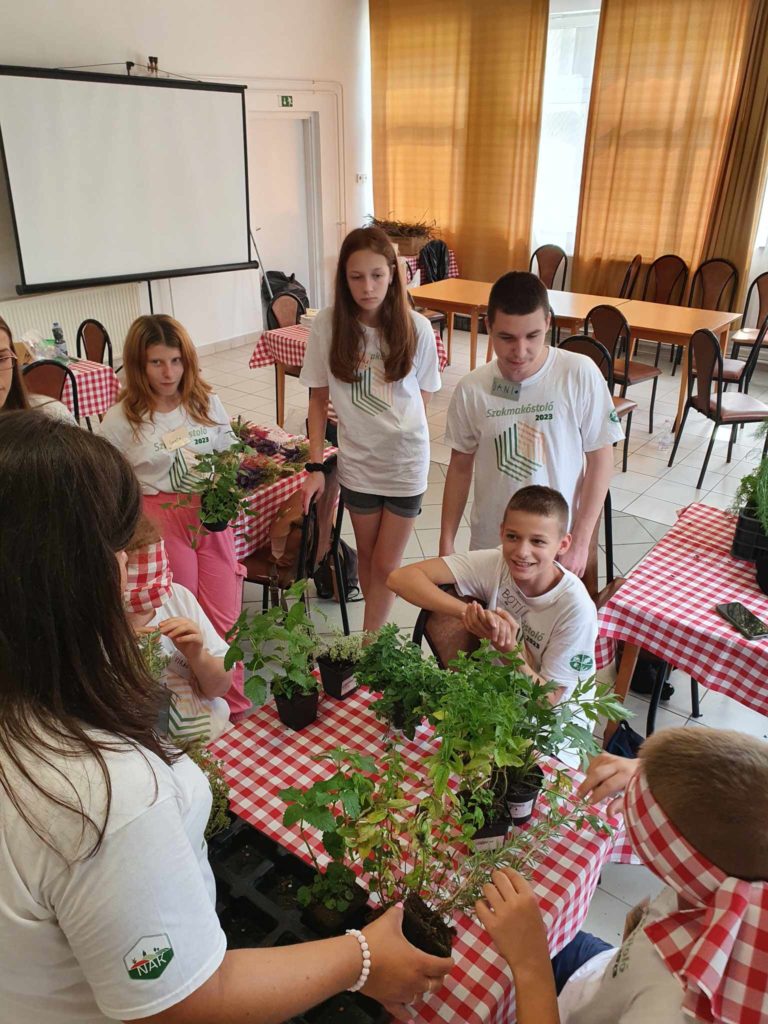 Egy csoport gyerek és egy nő összegyűlik egy asztal körül, rajta cserepes növényekkel és gyógynövényekkel. Egy szobában vannak, ahol több asztal van lefedve vörös-fehér kockás kendőkkel. A gyerekek eljegyzésben vannak és hozzáillő fehér pólót viselnek zöld és kék szöveggel.