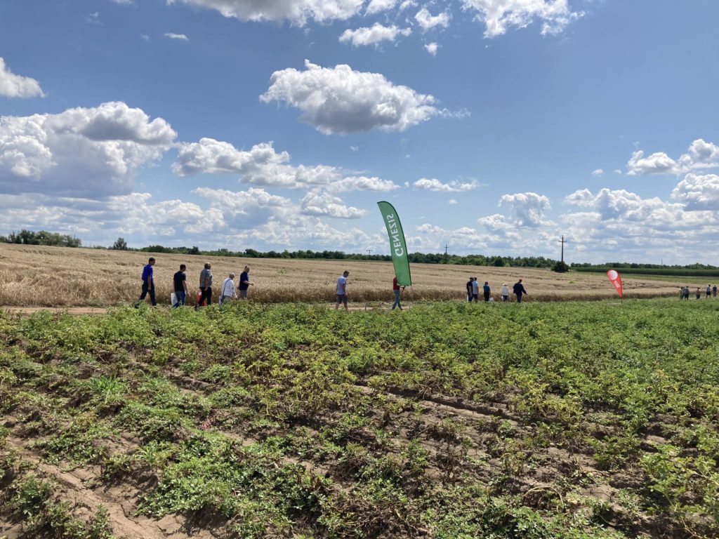 Egy csoport ember egy mezőn sétál egy napsütéses napon, szórványos felhőkkel. A mező különböző kivágásokat és két függőleges szöveges bannert tartalmaz. A jelenet mezőgazdasági eseményre vagy túrára utal.