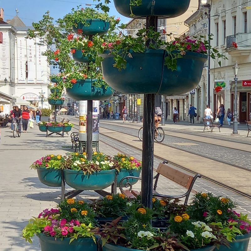 A nyüzsgő utcakép többszintes virágültetőket tartalmaz, amelyek színes virágokkal vannak tele a járda mentén. A közelben egy pad ül, a háttérben pedig az emberek sétálnak és bicikliznek. Történelmi épületek sorakoznak az utcán a tiszta kék ég alatt.