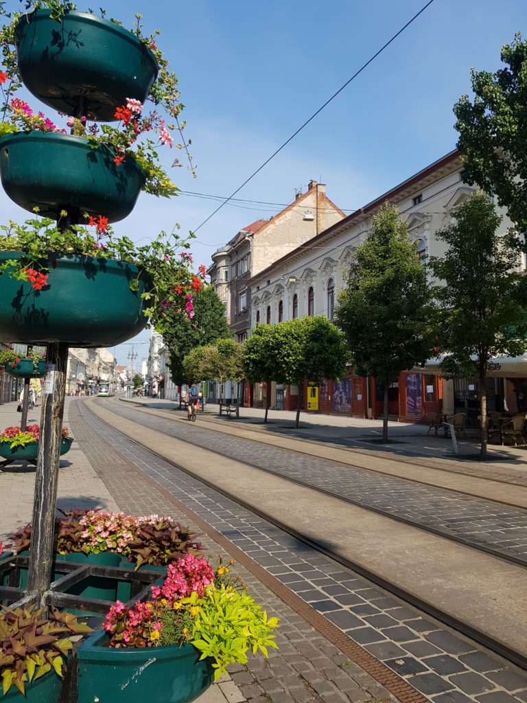 Európai utca fákkal és történelmi épületekkel szegélyezett villamossínekkel. Az előtérben nagy, zöld virágtartók, élénk virágokkal. Az utca üres, az ég tiszta és kék.