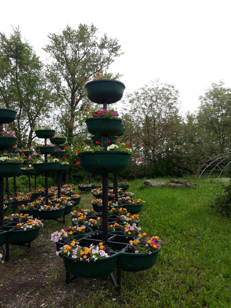 A lépcsőzetes virágültetők egy buja zöld kertben állnak, tele különféle színes virágokkal. A háttérben sűrű lombozatú fák láthatók a felhős égbolt alatt. A területet zöldövezet veszi körül, nyugodt kültéri környezetet teremtve.