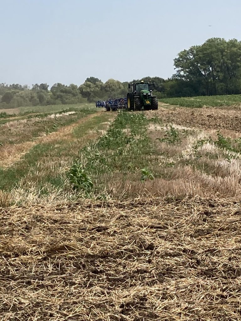 Egy traktor látható a távolban, amint egy mezőn dolgozik. A tábla frissen szántott talajra és felszántatlan talajra tagolódik, növényzet foltokkal. Fák látszanak a háttérben a tiszta égbolt alatt.