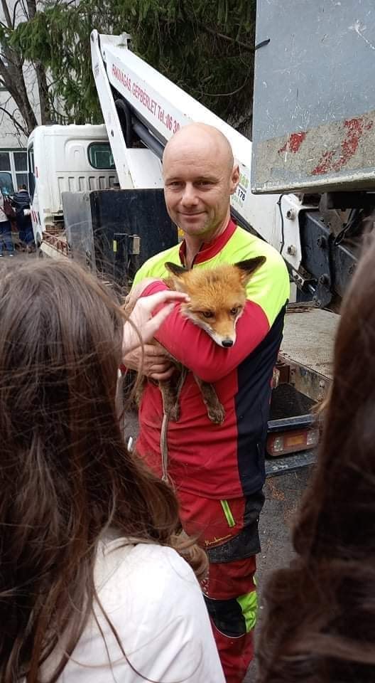 Egy élénkvörös és sárga egyenruhás férfi egy kis rókát tart a kezében. Hosszú barna hajú emberek állnak az előtérben, részben láthatóan, és a rókát nézik. A háttérben egy teherautó és néhány épület látható.