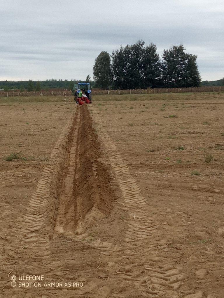 Egy kék traktor hosszú, egyenes árkot szánt egy nagy, kopár mezőn a felhős ég alatt. A távolban lombos fák sora jelzi a horizontot. A talajon láthatóak a traktor guminyomai.