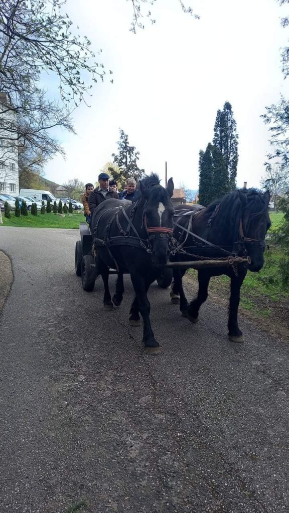 Emberek egy csoportja két fekete ló által húzott lovas kocsin ül a kövezett úton. A hintó egy fákkal szegélyezett területen halad keresztül, a háttérben egy nagy épület látható. A légkör nyugodtnak és festőinek tűnik.