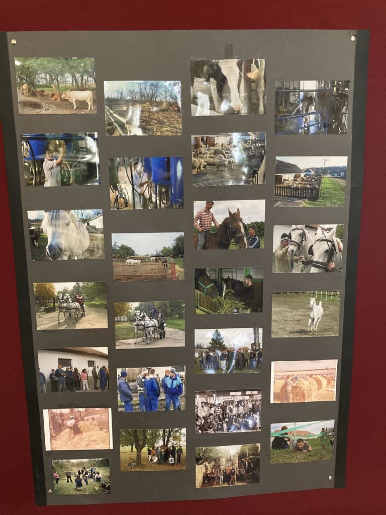 27 fotóból álló kollázs fekete alapon sorokba rendezve, nagyobb piros alapra szerelve. A fotók különféle tevékenységeket mutatnak be lovakkal, beleértve az ápolást, a lovaglást és a farm jeleneteit. Az emberek különböző körülmények között kölcsönhatásba lépnek a lovakkal.