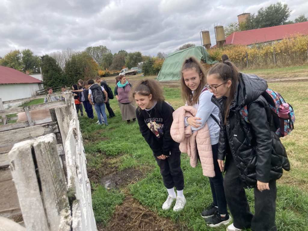 Egy csoport ember, köztük több gyerek, összegyűlik egy farmon, akik állatokat néznek. Néhány gyerek izgatottnak tűnik, és egy kerítésen áthajol. A háttérben gazdasági épületek, őszi fák és ponyva alatti felszerelések láthatók. A jelenet borús.