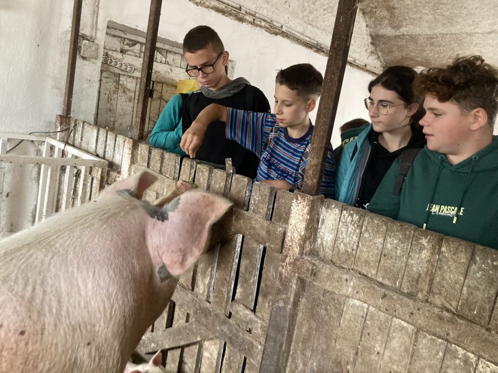 Egy négyfős csoport, köztük egy felnőtt és három gyerek, egy istálló fakerítése mögött áll, és egy disznót etet. Mindannyian alkalmi ruhát viselnek, és úgy tűnik, hogy a helyszín egy farm. A disznó néz szembe velük, mohón táplálékot keres.