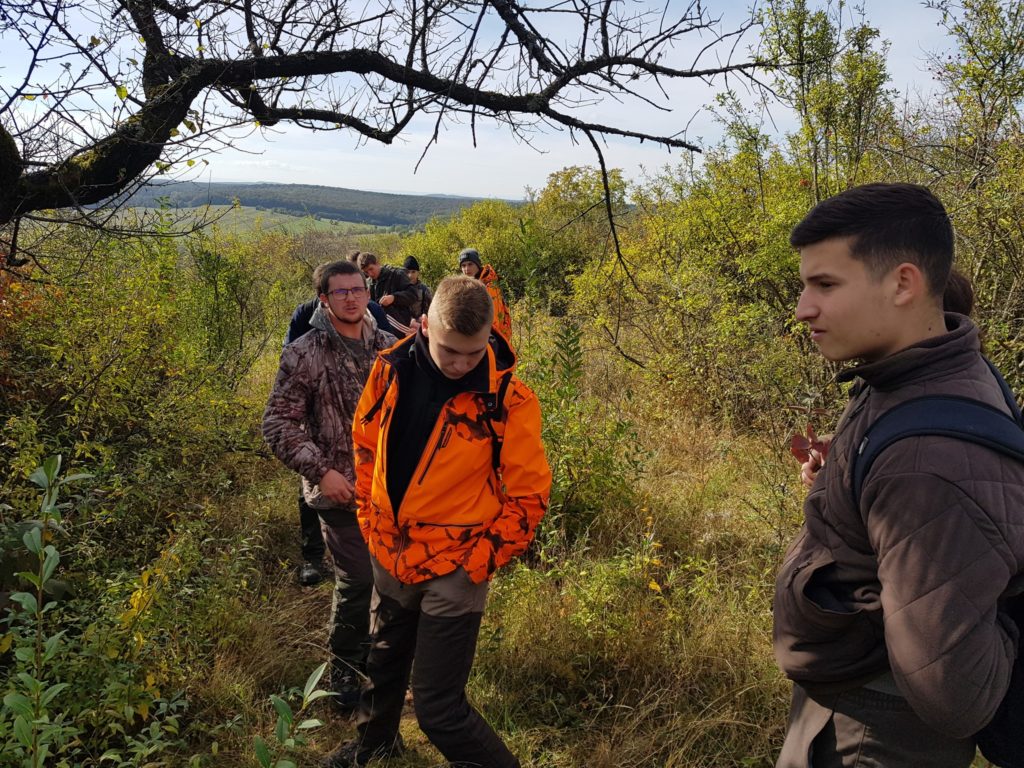 Egy csoport túrázó, főleg fiatal férfiak, egy keskeny, füves, sűrű növényzettel körülvett ösvényen sétál. Az egyik élénk narancssárga kabátot visel, és lenéz, míg mások szorosan követik őket. Egy fa csupasz ágakkal ível az ösvényen. Az ég tiszta.