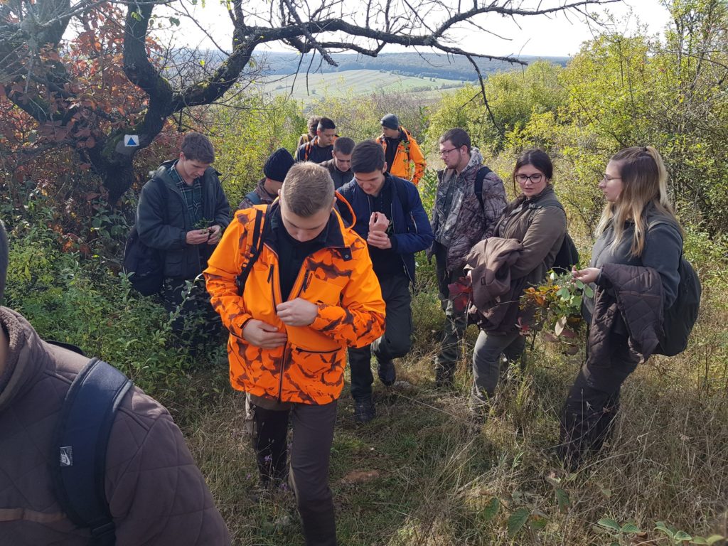 Egy csapat kültéri felszerelésbe, köztük narancssárga védőkabátba öltözött, bokrokkal és fákkal teli erdős területen túrázik. Vannak, akik a telefonjukat nézik, míg mások a növényeket vizsgálják. A háttérben festői táj látható dombokkal.