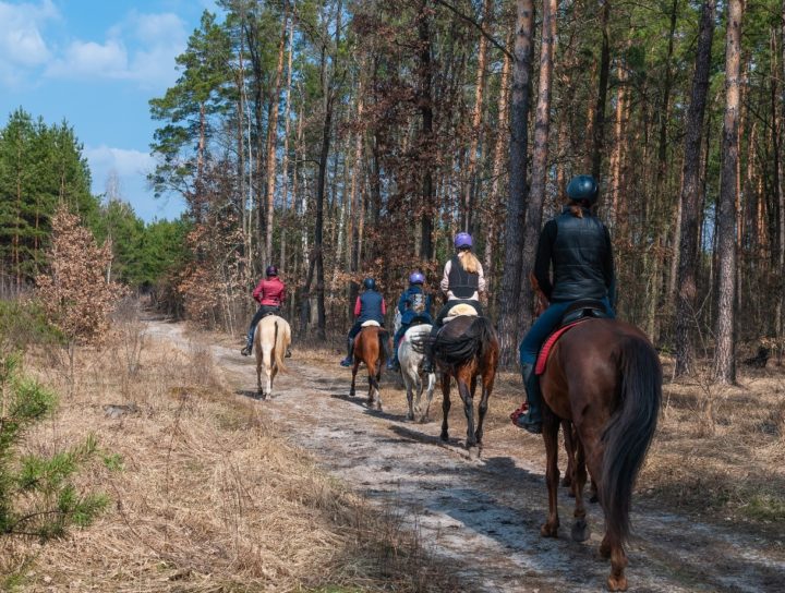 Lovastúra vezető lovon ülve túrát vezet egy erdőben
