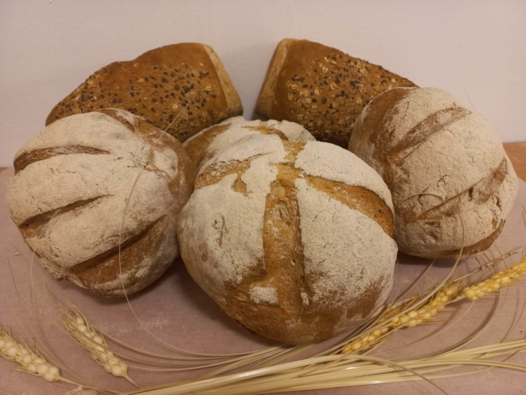 Különféle frissen sült kenyerek bemutatása világos színű felületen. Az elülső kenyér liszttel beszórt héja mély vágásokkal, míg a hátulsók tetején magok vannak. Az előtérben a búzaszár dekoratívan helyezkedik el.
