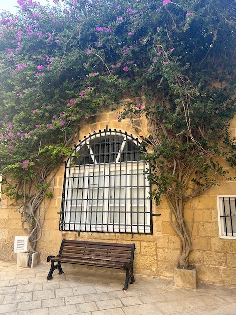A nagy íves ablakú, rácsokkal borított kőfalat buja növényzet és rózsaszín virágok díszítik. Az ablak előtt egy fapad van elhelyezve egy kővel burkolt járdán, festői és derűs jelenetet teremtve.