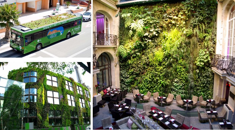 Három városi zöldfelület kollázsa: egy zöldellő busz utca felőli nézete, egy függőleges növényfalakkal díszített épület külseje és egy beltéri kávézó, amely buja zöld falat, asztalokat, székeket és klasszikus építészeti dizájnt tartalmaz.