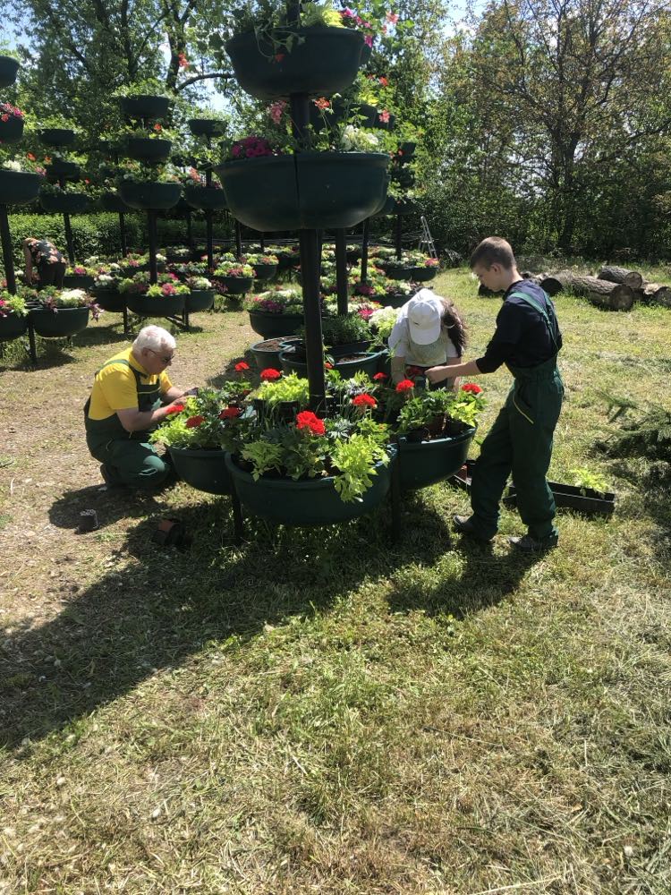 Három ember virágzik a kertben. Ketten dolgoznak a növényeken egy lépcsős, kör alakú ültetőgépben, míg egy másik szerszámokat szállít. A kertben több emelt virágtartó található, tele élénk virágokkal. Süt a nap, a háttérben a fák bujak és zöldek.