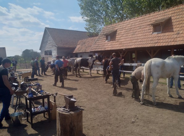 Egy csoport ember lovakat patkolni kint egy napsütéses napon. A színhelyen egy műhely található különféle eszközökkel és felszerelésekkel, néhány faépület cseréptetővel a háttérben, és több lovat is gondoznak az egyének. A háttérben fák láthatók.