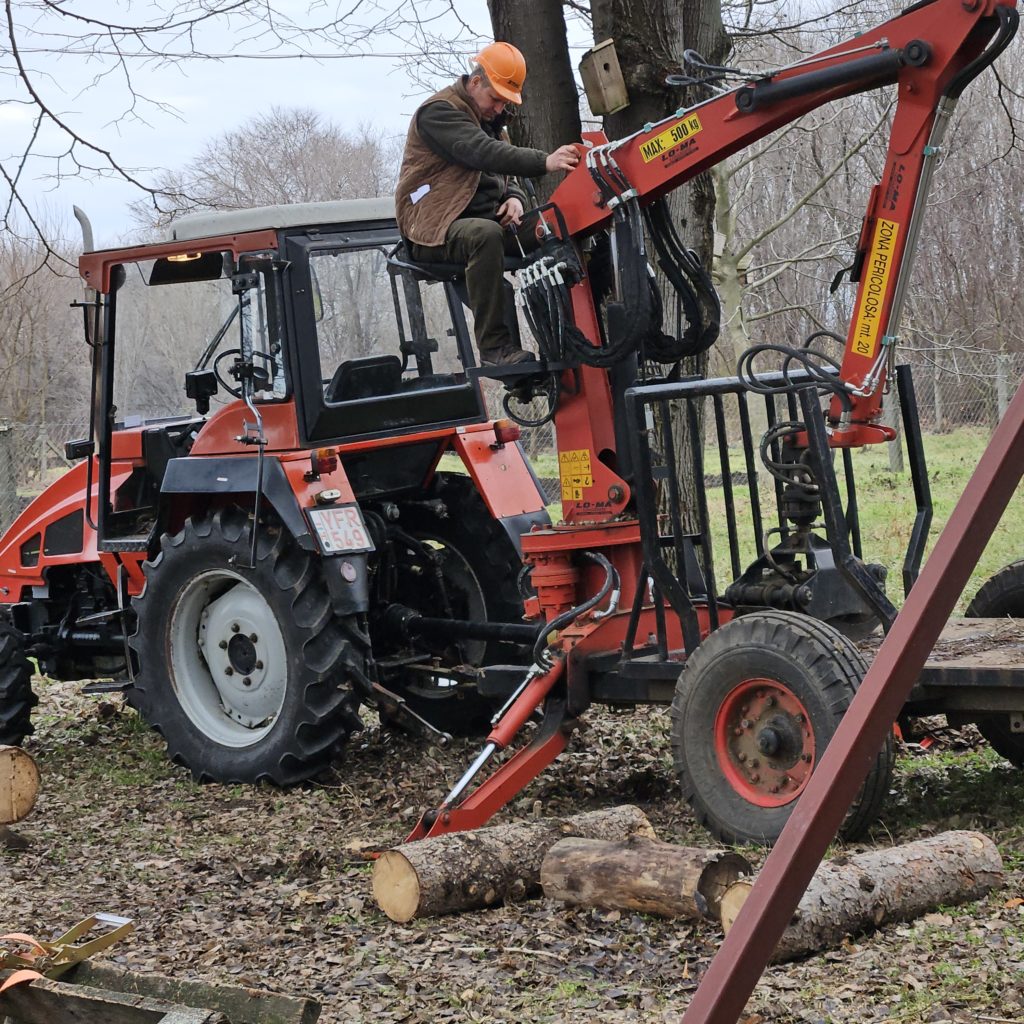Egy narancssárga sisakot viselő férfi egy mechanikus karú piros traktort üzemeltet, és rönköket emel. A környék kültéri lombtalan fákkal, kivágott rönkök szétszórva a földön.