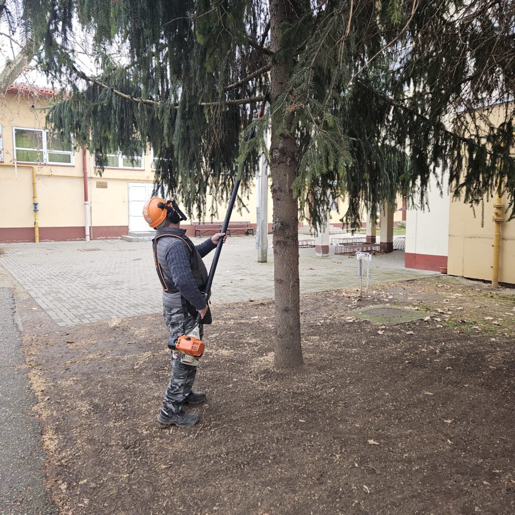 A védőfelszerelést, köztük narancssárga sisakot és fülvédőt viselő személy levélfúvóval tisztítja meg a fa tövében a lehullott leveleket és a törmeléket. A fa nyitott területen található, burkolt résszel és szomszédos épületekkel.
