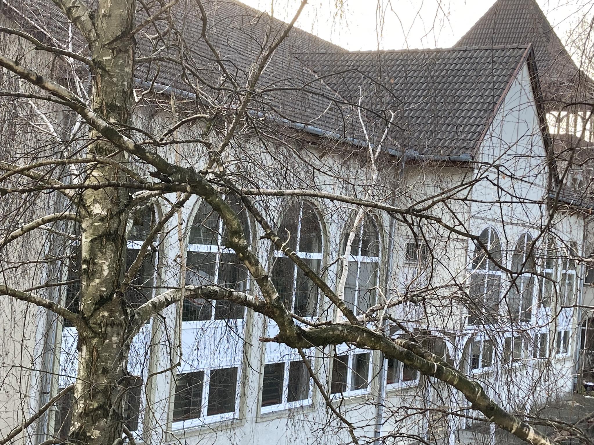 Egy csupasz fa összefonódott ágakkal részben akadályozza a kilátást egy régi épületre, boltíves ablakokkal és cseréptetővel. Az épület jó állapotúnak tűnik, a sűrű fiókhálózat mögött több ablak is látható.