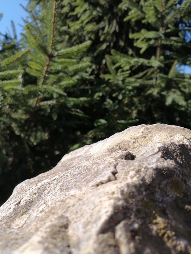 Közeli fénykép egy texturált szikláról az előtérben egy elmosódott tűlevelű fával a háttérben. A napfény árnyékot vet, kiemelve a szikla érdes felületét és a fa zöld tűleveleit.