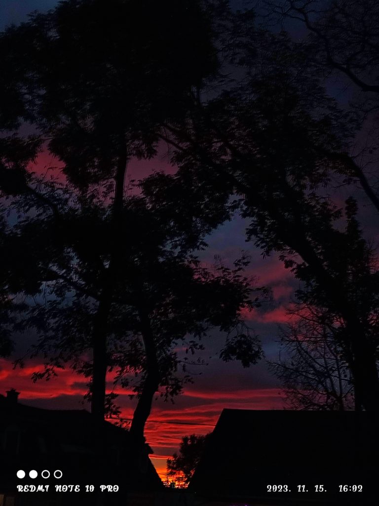 Fák és épületek sziluettjei a vibráló naplemente égbolton, a vörös, a narancs és a lila mély árnyalataival. A kép egy Redmi Note 10 Pro készülékkel készült 2023. november 15-én, 16:09-kor, amint azt a képen látható szöveg is jelzi.