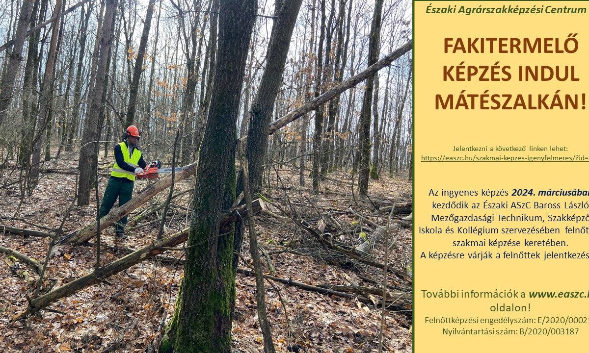 Egy férfi láncfűrésszel fát vág egy erdőben. A képen látható szöveg egy 2024 márciusában induló erdészeti képzést hirdet Mátészalkán az Északi Agrárszakképzési Centrum szervezésében. Az elérhetőségeket és a további részleteket tartalmazó linket adjuk meg.