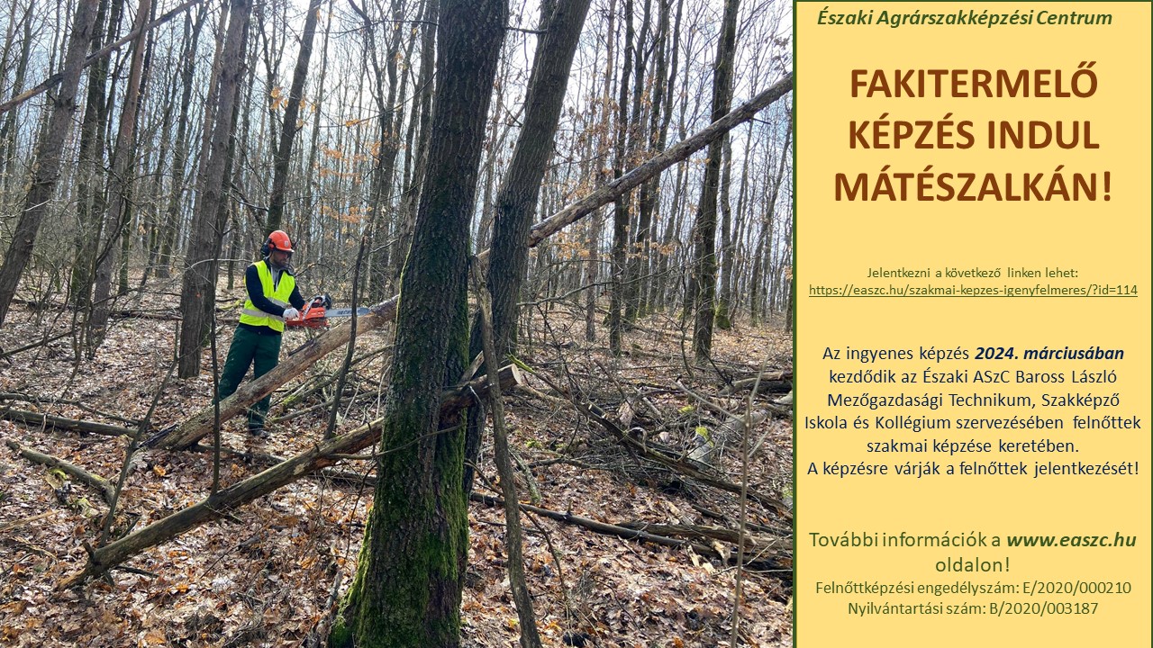 Egy férfi láncfűrésszel fát vág egy erdőben. A képen látható szöveg egy 2024 márciusában induló erdészeti képzést hirdet Mátészalkán az Északi Agrárszakképzési Centrum szervezésében. Az elérhetőségeket és a további részleteket tartalmazó linket adjuk meg.
