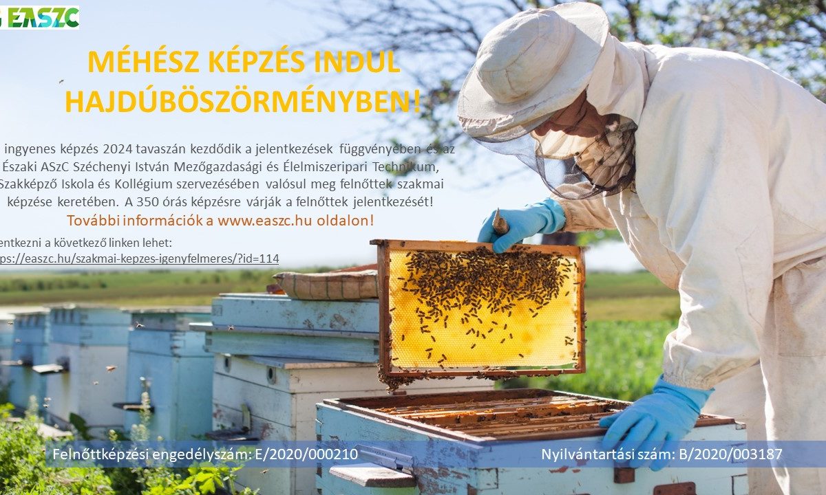 A méhészeti védőfelszerelést viselő személy a szabadban hajlamos méhkaptárra, és több méhsejt-keret látható. A háttérben egy 2024-től induló hajdúböszörményi méhészképzési programot ismertető szöveg található, egy linkkel a további információkért.