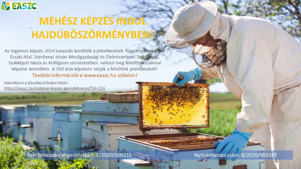 A méhészeti védőfelszerelést viselő személy a szabadban hajlamos méhkaptárra, és több méhsejt-keret látható. A háttérben egy 2024-től induló hajdúböszörményi méhészképzési programot ismertető szöveg található, egy linkkel a további információkért.