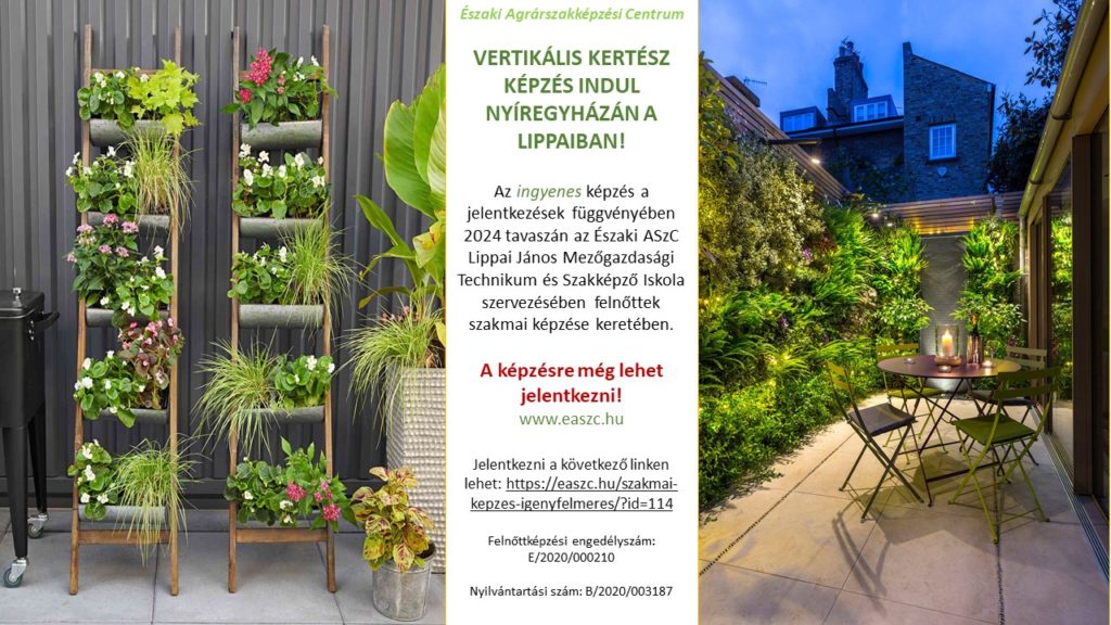 Promóciós szórólap a lippai vertikális kertészeti képzéshez, amely az egyik oldalon kiemeli az ingyenes órákat, regisztrációs információkat és elérhetőségeket. A másik oldalon egy buja, függőleges kert látható a tetőn, zöld növényekkel, asztal székekkel és esti világítással.