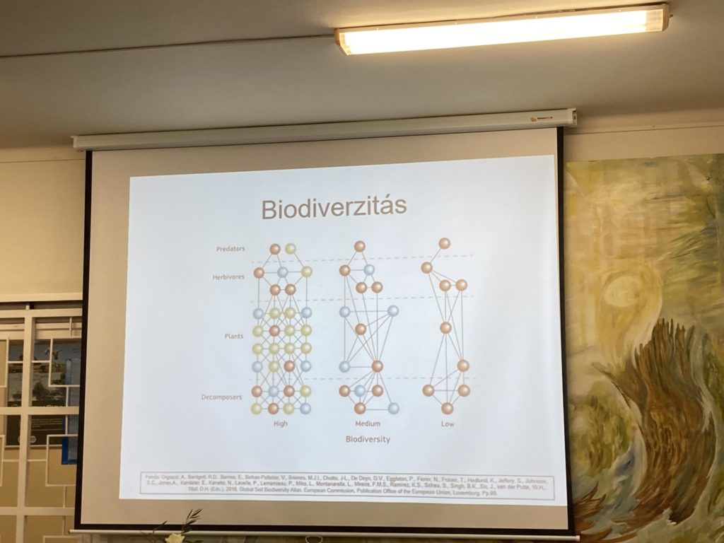 Színes hálózati diagramot megjelenítő vetítővászon "Biodiverzítás" címmel. A diagram olyan csoportokba sorolja az elemeket, mint a „Ragadozók”, „Növényevők”, „Növények” és „Lebontók”, és összefüggéseket mutat be a biológiai sokféleség különböző szintjeihez (Magas, Közepes, Alacsony).